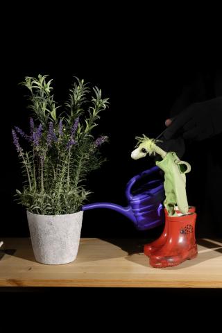 Kuckuck - Als der kleine Koriander kam @ Figurentheater Hattenkofer  2